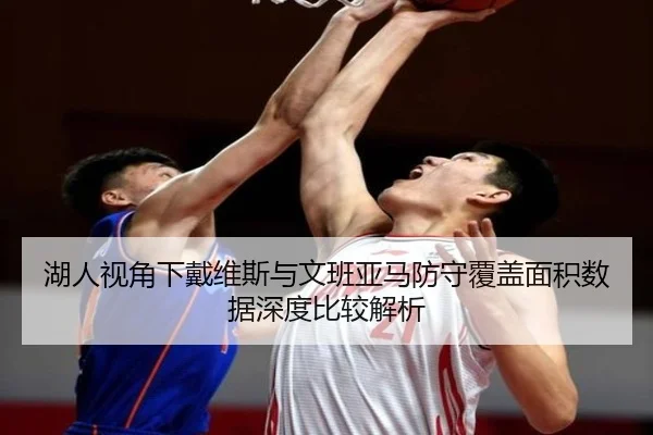 湖人视角下戴维斯与文班亚马防守覆盖面积数据深度比较解析